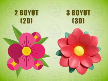 2 Boyut (2D) ve 3 Boyut (3D) Nedir